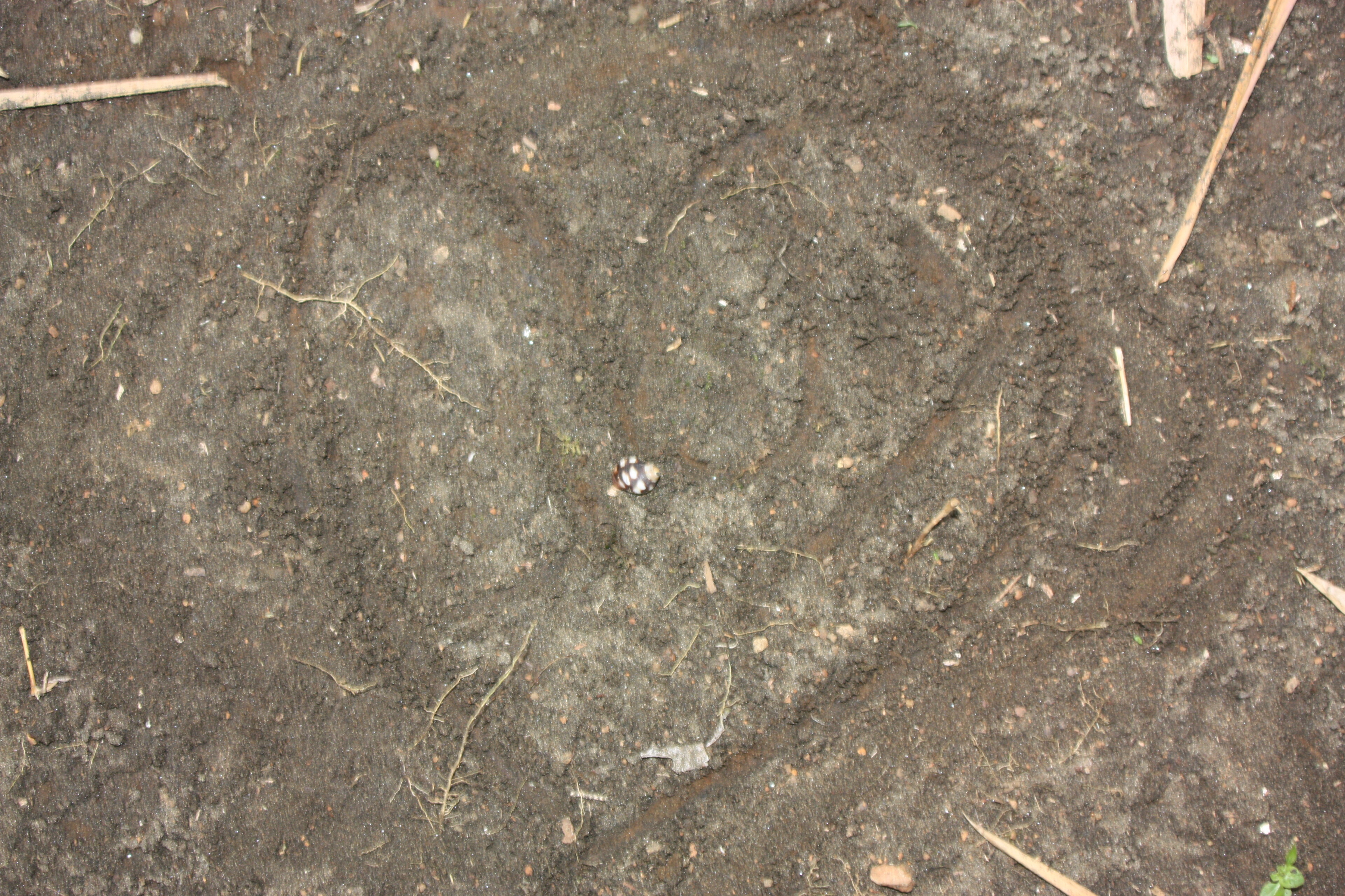 Deborah Stutz - Paarberatung